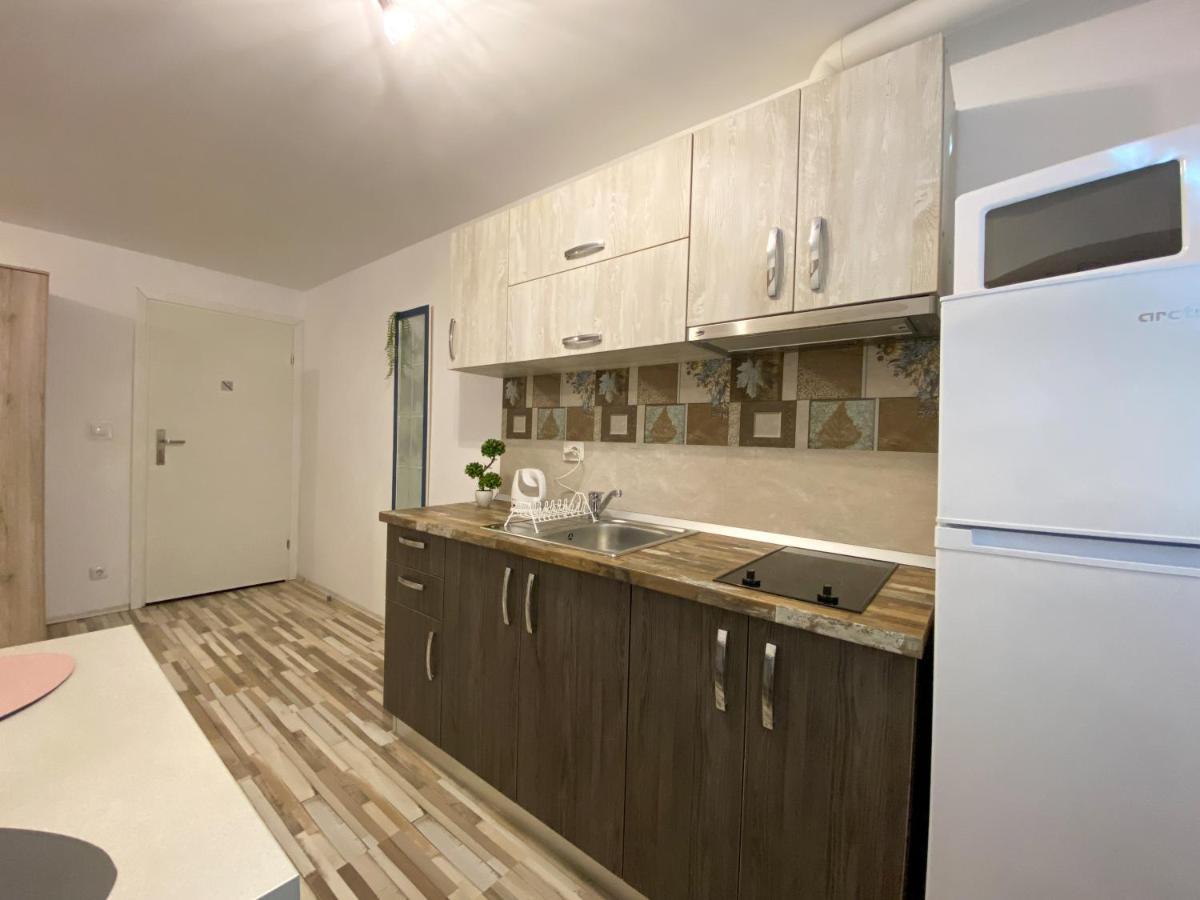 Blue Dream Apartment ティミショアラ エクステリア 写真