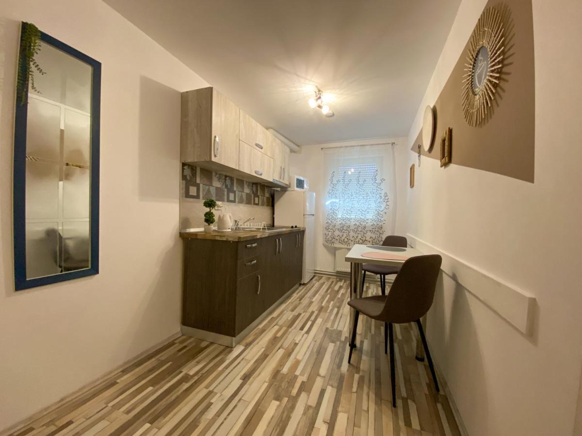 Blue Dream Apartment ティミショアラ エクステリア 写真