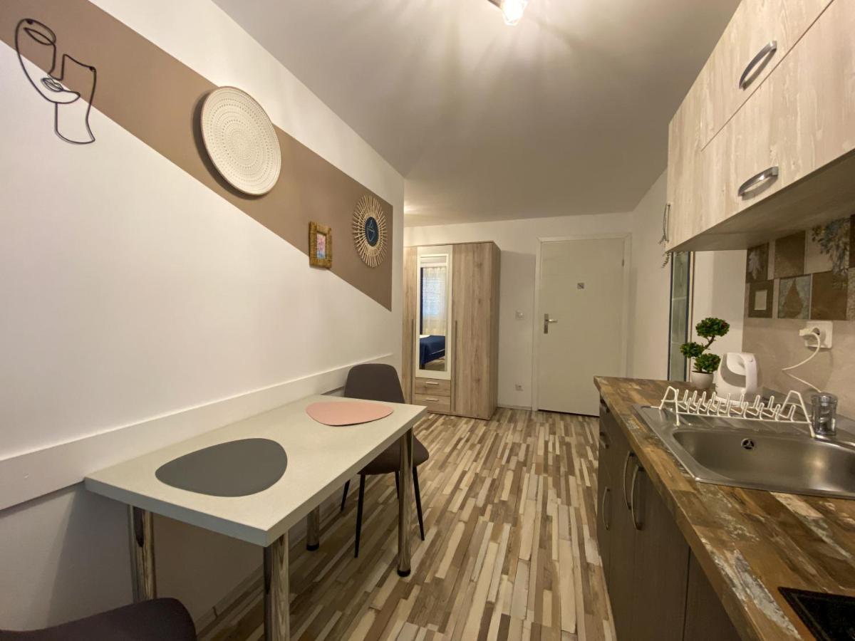 Blue Dream Apartment ティミショアラ エクステリア 写真