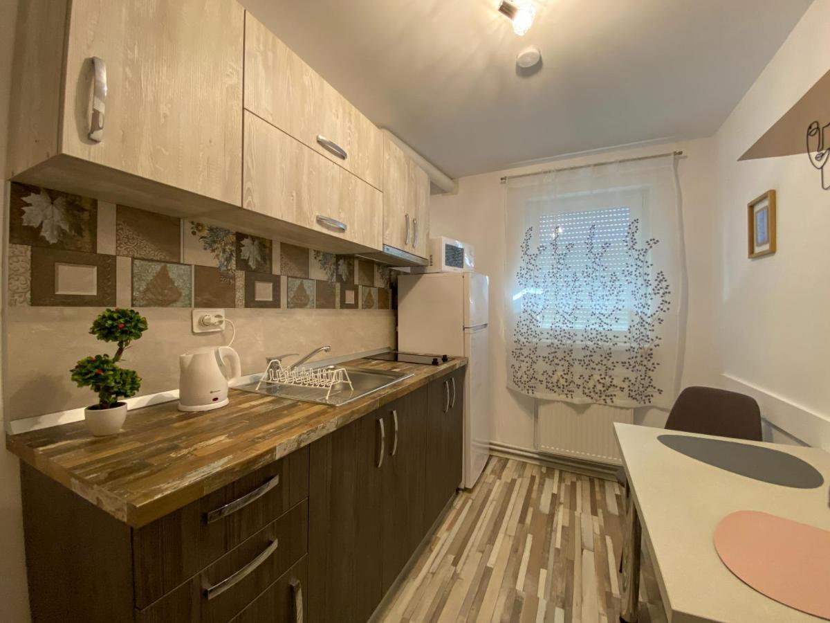 Blue Dream Apartment ティミショアラ エクステリア 写真