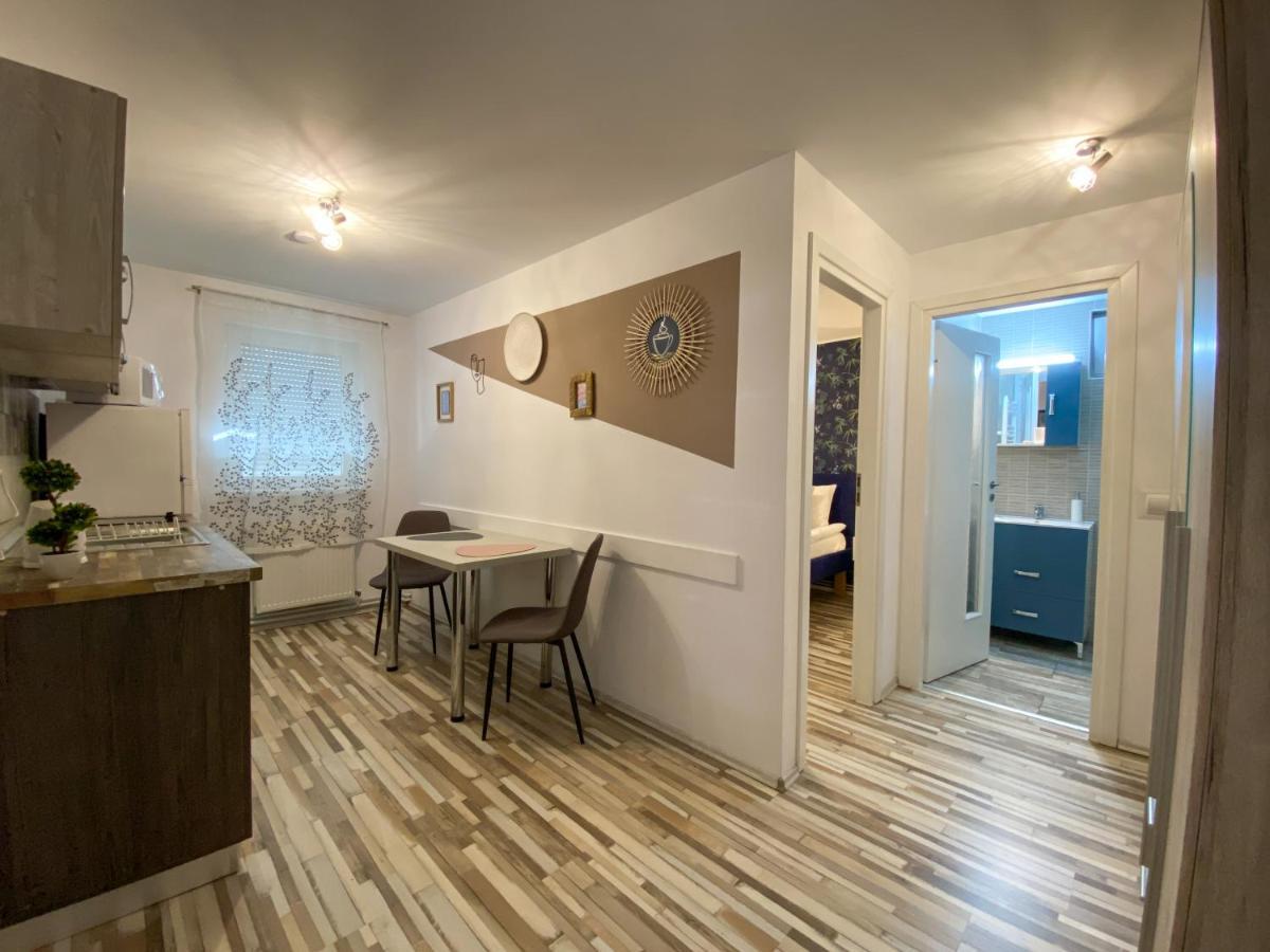 Blue Dream Apartment ティミショアラ エクステリア 写真